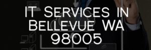 IT Services in Bellevue WA 98005
