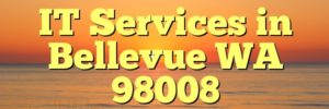 IT Services in Bellevue WA 98008