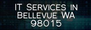 IT Services in Bellevue WA 98015