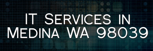 IT Services in Medina WA 98039