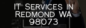 IT Services in Redmond WA 98073