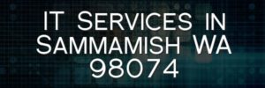 IT Services in Sammamish WA 98074
