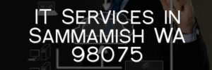 IT Services in Sammamish WA 98075